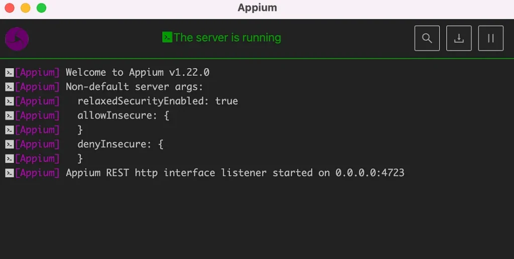 Appium Server